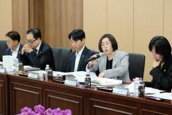 마포구 조직개편안 설명회 8