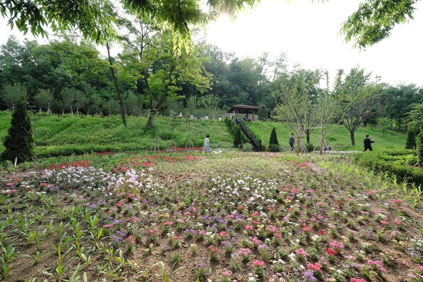 상암동 야생화정원 개장식