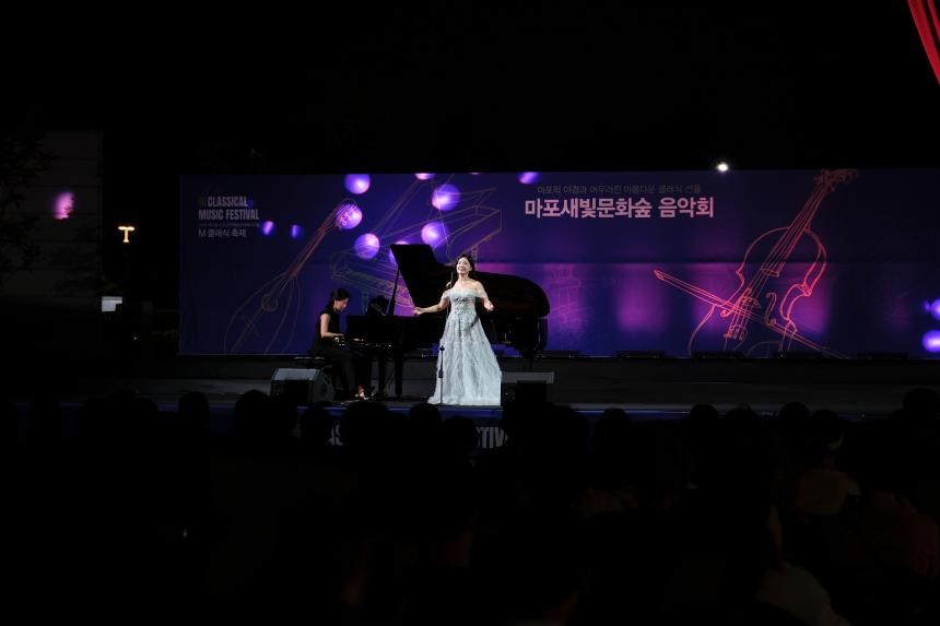 마포새빛문화숲 음악회