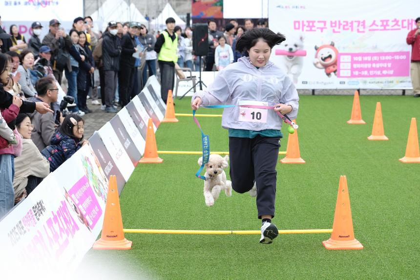 새우젓축제-마포구 반려견 스포츠대회