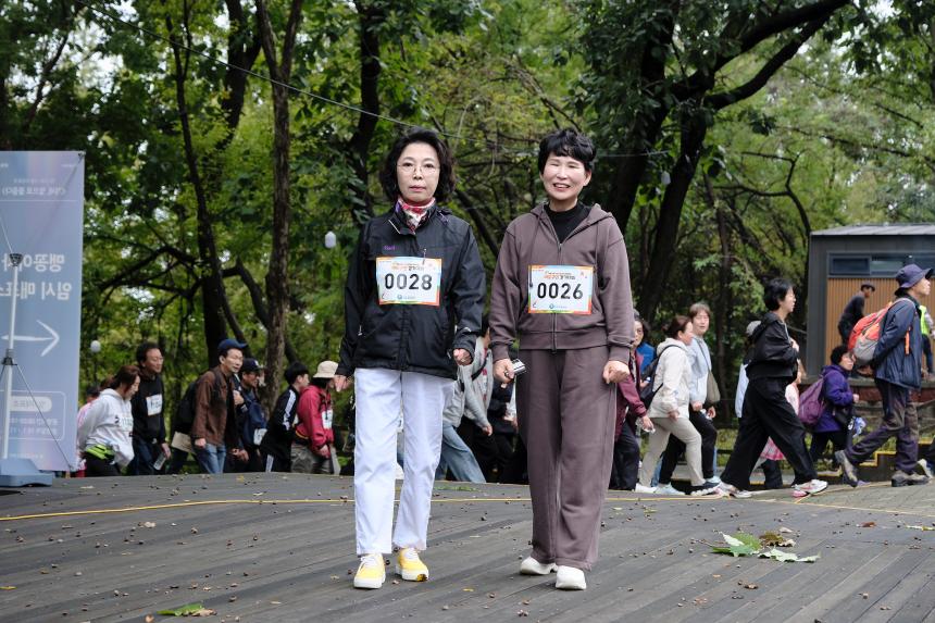 새우젓축제-마포구민 걷기대회 - 4