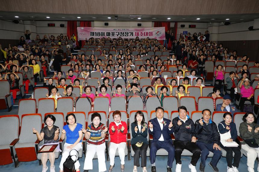 제18회 마포구청장기 체조대회