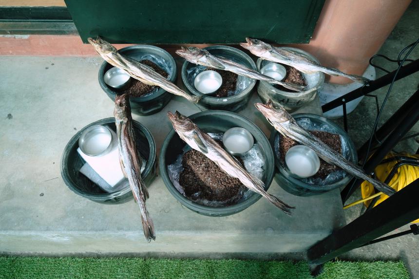 밤섬부군당제 - 11