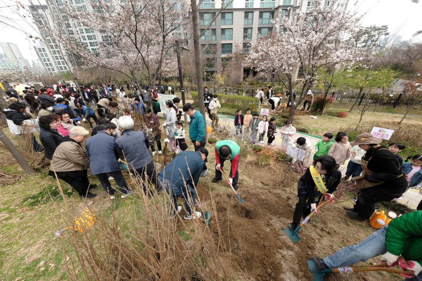 제81회 식목일 기념 릴레이 정원만들기 행사-국화정원 - 10