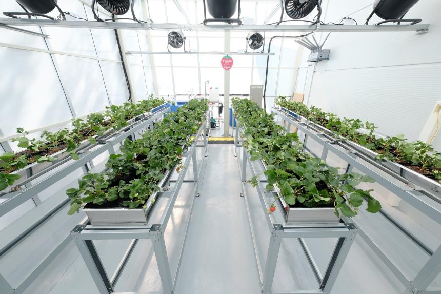 마포 스마트팜 체험관 준공식 - 19