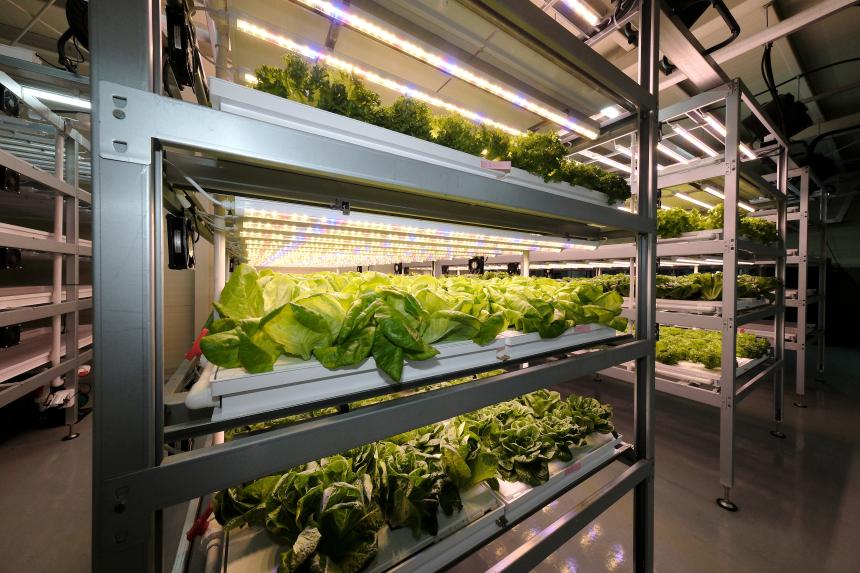 마포 스마트팜 체험관 준공식 - 21