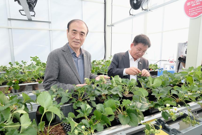 마포 스마트팜 체험관 준공식 - 26