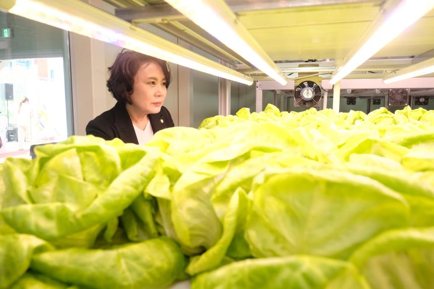 마포 스마트팜 체험관 준공식 - 32