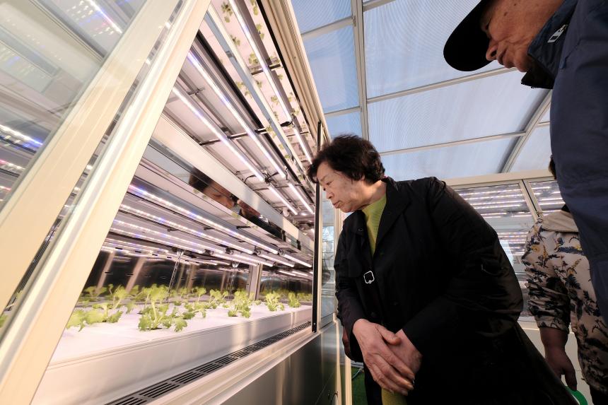 마포 스마트팜 체험관 준공식 - 44