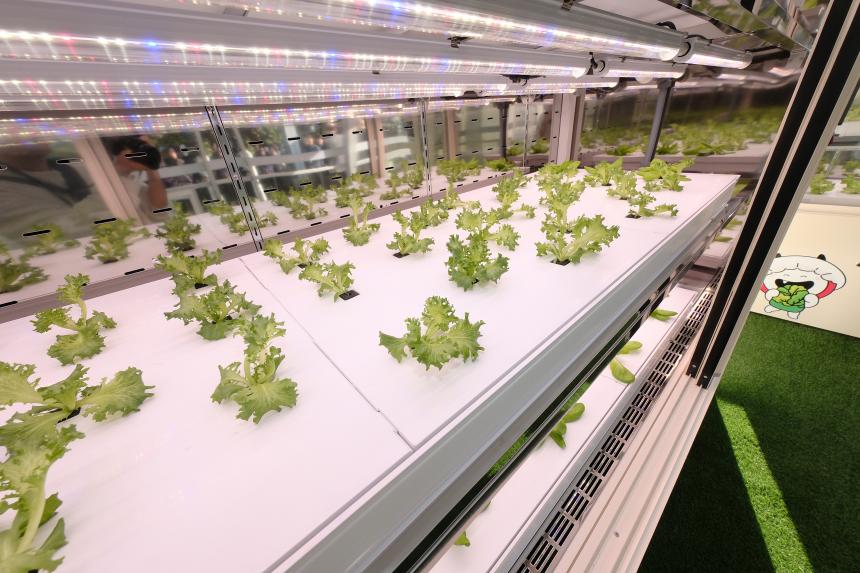 마포 스마트팜 체험관 준공식 - 45