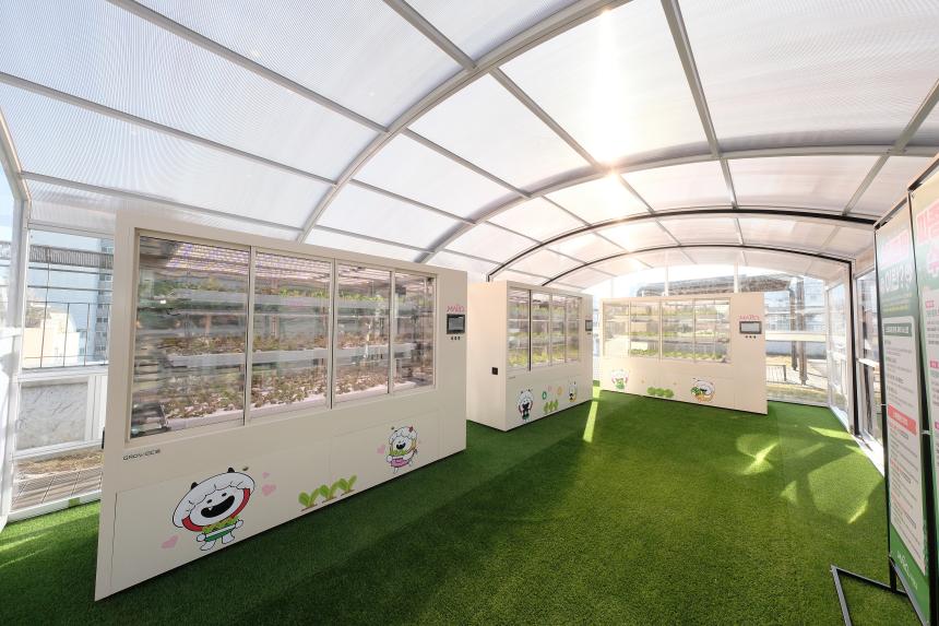 마포 스마트팜 체험관 준공식 - 47