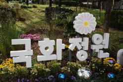 국화정원 황톳길 개장식 2