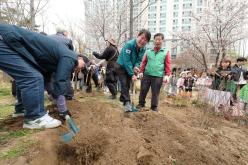 제81회 식목일 기념 릴레이 정원만들기 행사-국화정원 13
