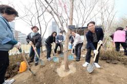 제81회 식목일 기념 릴레이 정원만들기 행사-쌍룡근린공원 11