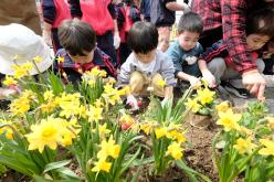 제81회 식목일 기념 릴레이 정원만들기 행사-쌍룡근린공원 22