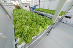 마포 스마트팜 체험관 준공식 20