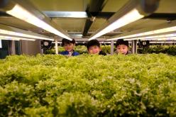 마포 스마트팜 체험관 준공식 23