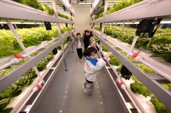 마포 스마트팜 체험관 준공식 24