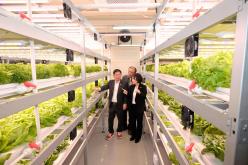 마포 스마트팜 체험관 준공식 25