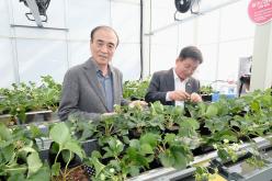 마포 스마트팜 체험관 준공식 26