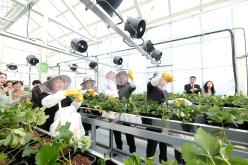 마포 스마트팜 체험관 준공식 30