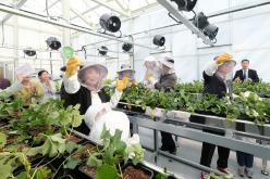 마포 스마트팜 체험관 준공식 31