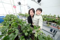 마포 스마트팜 체험관 준공식 34