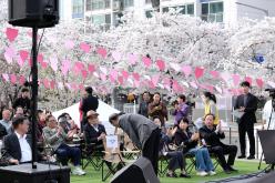 2026 제2회 마포구 벚꽃 페스티벌 3