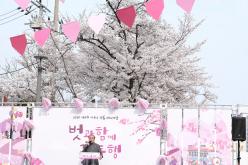 2026 제2회 마포구 벚꽃 페스티벌 8