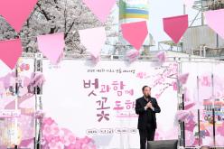 2026 제2회 마포구 벚꽃 페스티벌 11