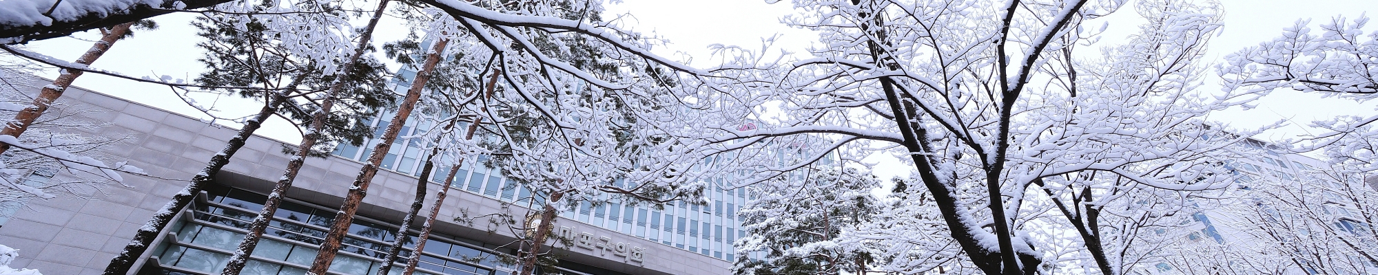 겨울_의회